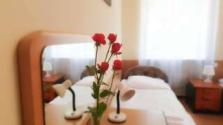 Отель Dworek Brodowo Restauracja Hotel Przyjęcia Brodowo Двухместный номер с 1 кроватью-3